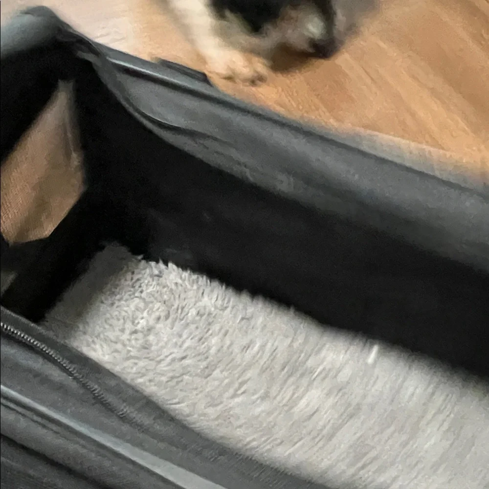 Pet Travel Carrier